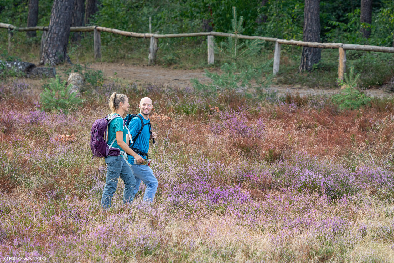 Unterwegs auf dem Emsquellen-Wanderweg