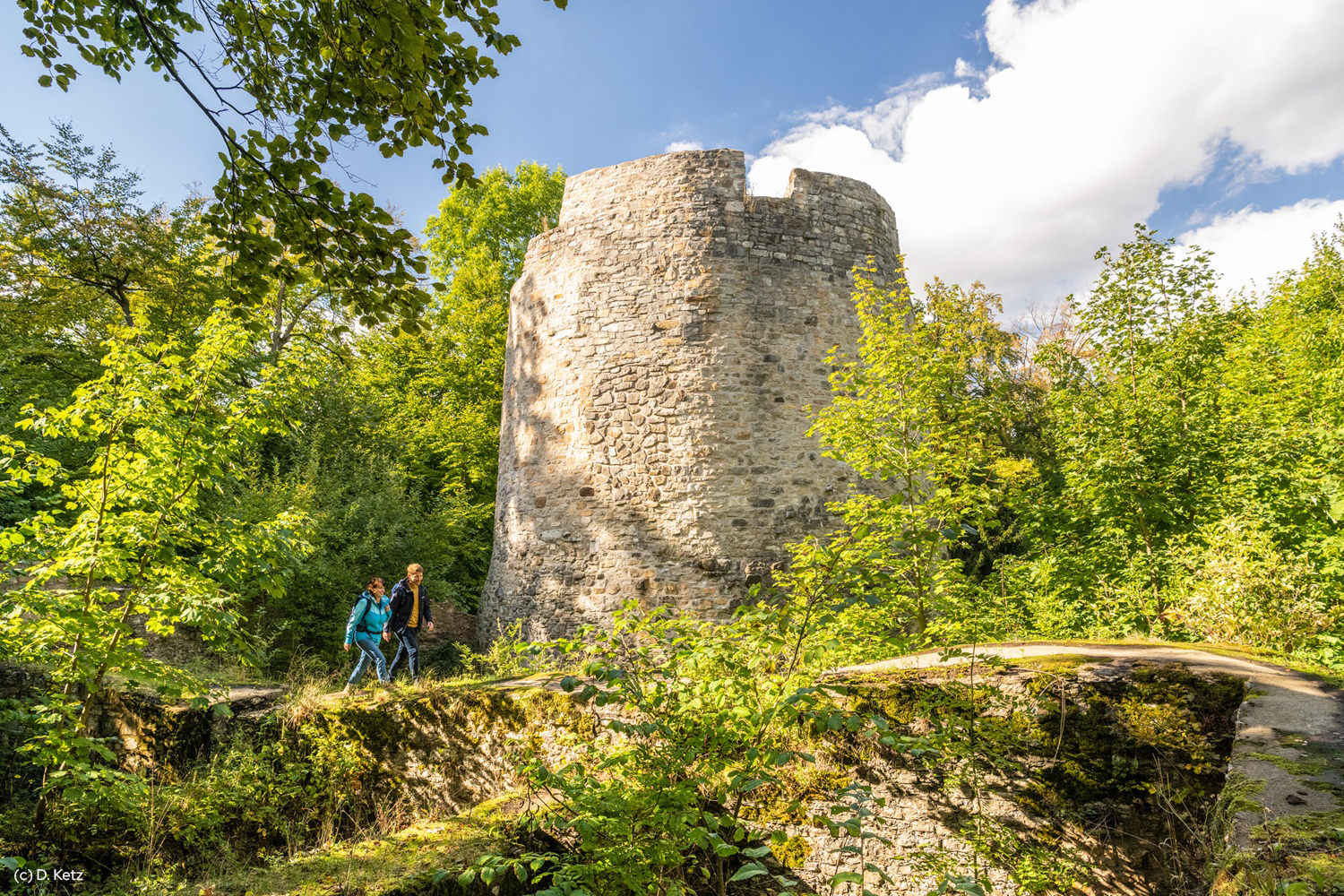 Eggeweg von Bad Driburg nach Willebadessen