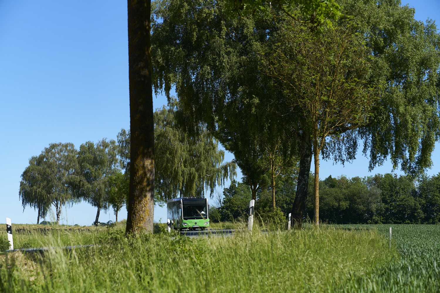 Viertägige Fahrtweg-Anpassung in Bad Lippspringe